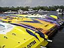 Royal Purple 2006 169.jpg